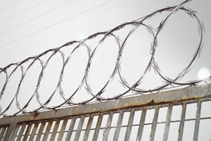 Cerca Concertina Flat